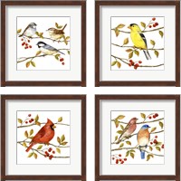 Framed Birds & Berries 4 Piece Framed Art Print Set
