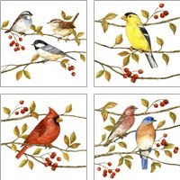 Framed Birds & Berries 4 Piece Art Print Set