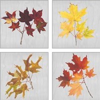 Framed 'Autumn Leaves 4 Piece Art Print Set' border=
