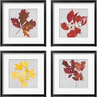 Framed Autumn Leaves 4 Piece Framed Art Print Set
