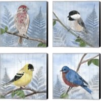 Framed 'Eastern Songbird 4 Piece Canvas Print Set' border=