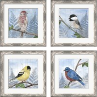 Framed Eastern Songbird 4 Piece Framed Art Print Set