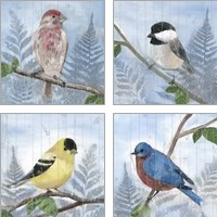 Framed 'Eastern Songbird 4 Piece Art Print Set' border=