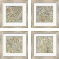 Framed 'Shell Squares 4 Piece Framed Art Print Set' border=