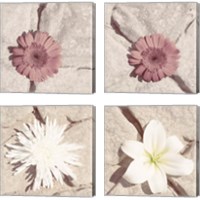 Framed 'Stone Blossom 4 Piece Canvas Print Set' border=