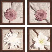 Framed Stone Blossom 4 Piece Framed Art Print Set