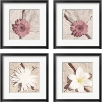 Framed Stone Blossom 4 Piece Framed Art Print Set