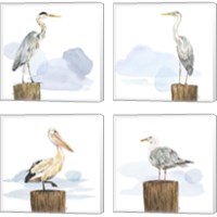 Framed 'Birds of the Coast 4 Piece Canvas Print Set' border=