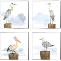 Framed Birds of the Coast 4 Piece Canvas Print Set