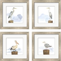 Framed Birds of the Coast 4 Piece Framed Art Print Set