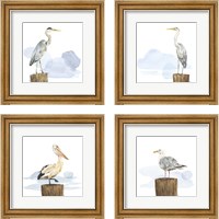 Framed Birds of the Coast 4 Piece Framed Art Print Set