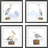 Framed 'Birds of the Coast 4 Piece Framed Art Print Set' border=