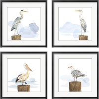 Framed 'Birds of the Coast 4 Piece Framed Art Print Set' border=