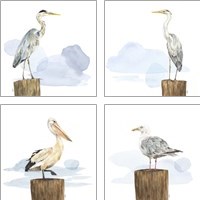 Framed Birds of the Coast 4 Piece Art Print Set