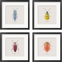 Framed Adorning Coleoptera 4 Piece Framed Art Print Set