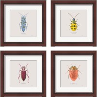 Framed 'Adorning Coleoptera 4 Piece Framed Art Print Set' border=