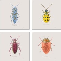 Framed 'Adorning Coleoptera 4 Piece Art Print Set' border=