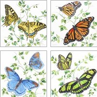 Framed 'Summertime Butterflies 4 Piece Art Print Set' border=