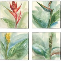 Framed 'Exotic Flower 4 Piece Canvas Print Set' border=