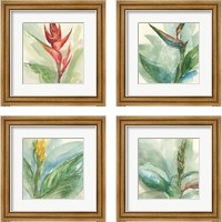 Framed Exotic Flower 4 Piece Framed Art Print Set