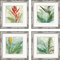 Framed 'Exotic Flower 4 Piece Framed Art Print Set' border=
