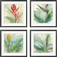 Framed 'Exotic Flower 4 Piece Framed Art Print Set' border=