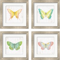 Framed White Barn Butterflies 4 Piece Framed Art Print Set