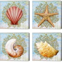 Framed 'Shell Medley 4 Piece Canvas Print Set' border=