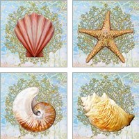 Framed 'Shell Medley 4 Piece Art Print Set' border=