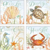 Framed 'Ocean Life 4 Piece Art Print Set' border=