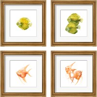 Framed 'Discus Fish 4 Piece Framed Art Print Set' border=