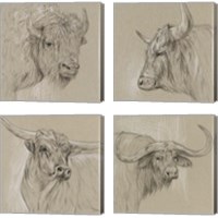 Framed Longhorn Sketch 4 Piece Canvas Print Set