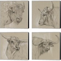 Framed 'Longhorn Sketch 4 Piece Canvas Print Set' border=