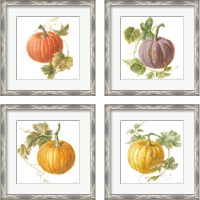 Framed 'Floursack Autumn on White 4 Piece Framed Art Print Set' border=
