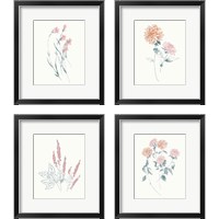 Framed Flowers on White Contemporary Bright 4 Piece Framed Art Print Set