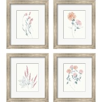 Framed 'Flowers on White Contemporary Bright 4 Piece Framed Art Print Set' border=