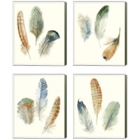 Framed 'Watercolor Feathers 4 Piece Canvas Print Set' border=