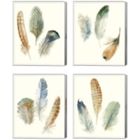 Framed Watercolor Feathers 4 Piece Canvas Print Set