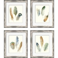 Framed 'Watercolor Feathers 4 Piece Framed Art Print Set' border=