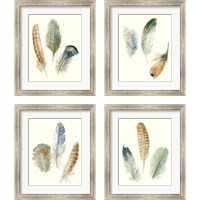 Framed 'Watercolor Feathers 4 Piece Framed Art Print Set' border=