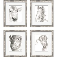 Framed 'Farm Faces 4 Piece Framed Art Print Set' border=