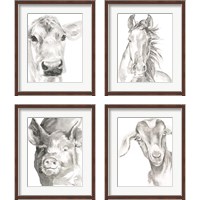 Framed 'Farm Faces 4 Piece Framed Art Print Set' border=