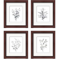 Framed Paynes Grey Botanicals 4 Piece Framed Art Print Set