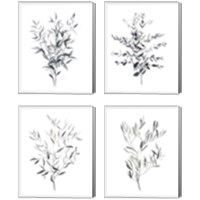 Framed Paynes Grey Botanicals 4 Piece Canvas Print Set