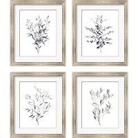 Framed Paynes Grey Botanicals 4 Piece Framed Art Print Set