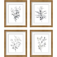 Framed 'Paynes Grey Botanicals 4 Piece Framed Art Print Set' border=