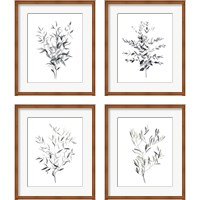 Framed 'Paynes Grey Botanicals 4 Piece Framed Art Print Set' border=