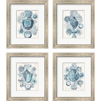 Framed 'Coastal Melange 4 Piece Framed Art Print Set' border=