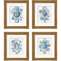 Framed 'Coastal Melange 4 Piece Framed Art Print Set' border=