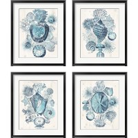 Framed 'Coastal Melange 4 Piece Framed Art Print Set' border=